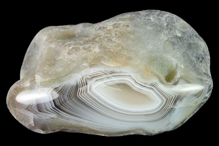 Polished Botswana Agate Nodule - Botswana #146397